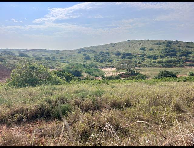 1,368M² VACANT LAND FOR SALE IN SEATON ESTATE